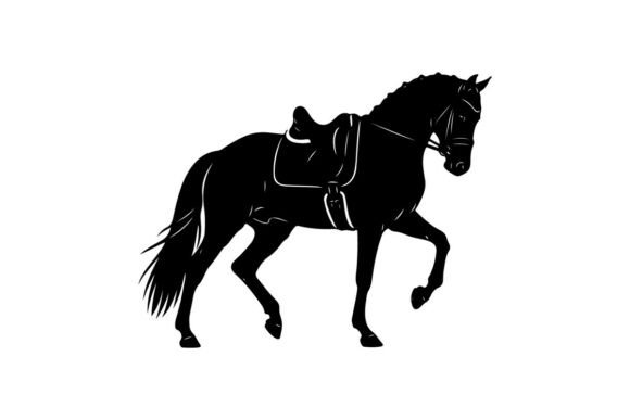 Black Horse with Decorative Harness in M