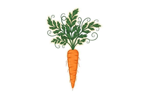 Integrating Decorative Carrot Botanical Illustration into Modern Design Workflows