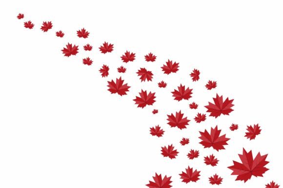 Red Maple Leaves Decorative: Creative Uses